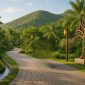 Invest in Resort VIzraama Resort 85x85